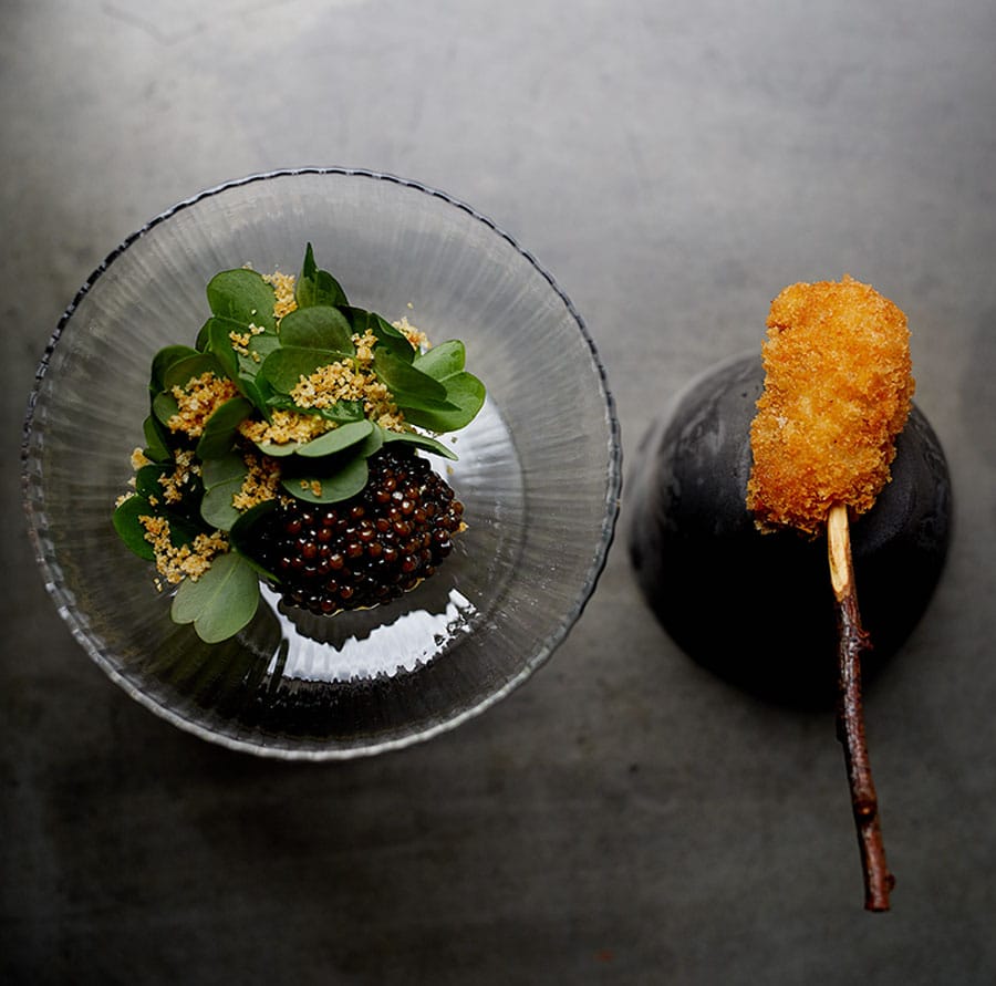 5 caviaroxalysstick rdt 14mai022 copie