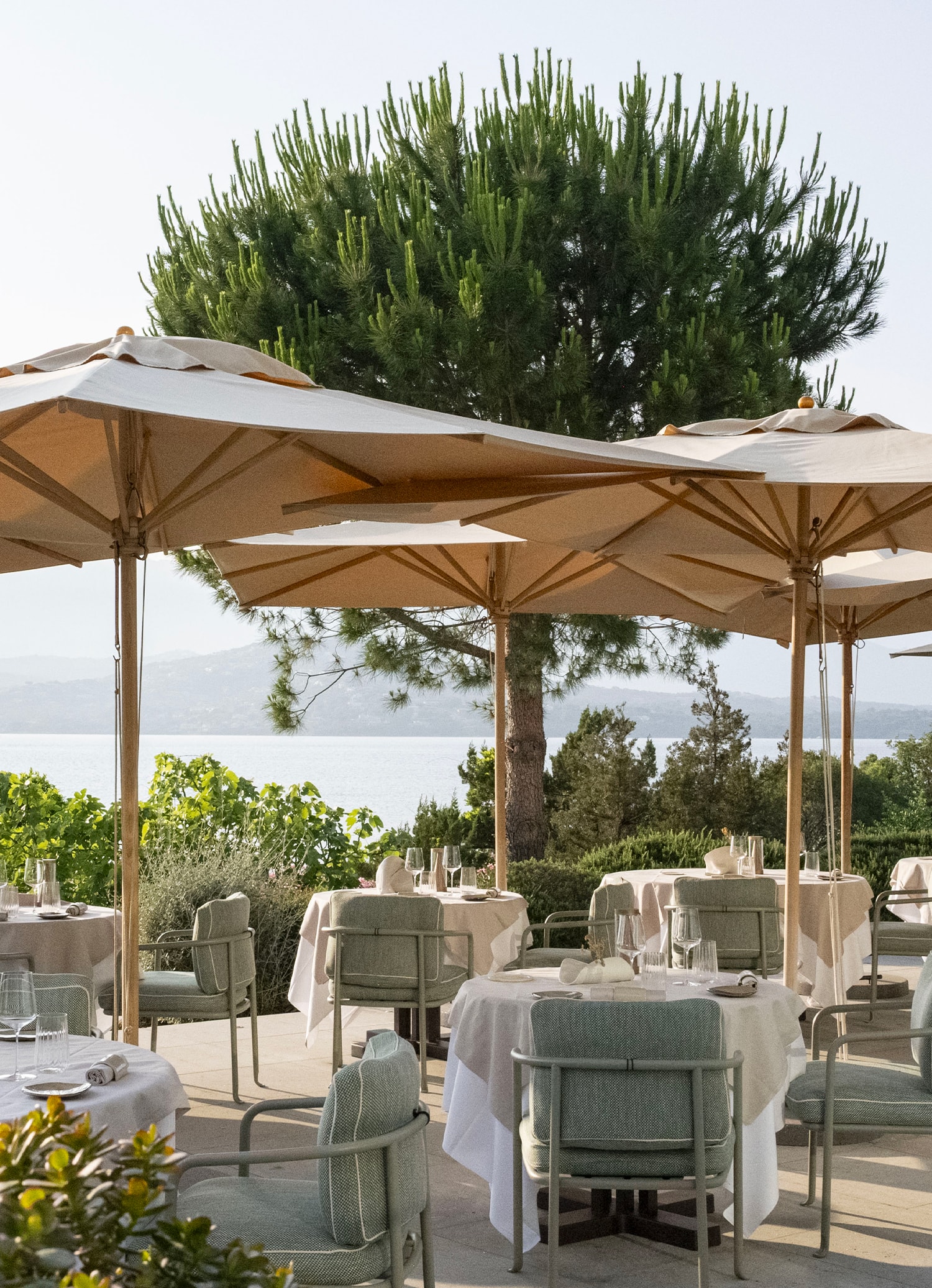 Casadelmar - Restaurant Interior