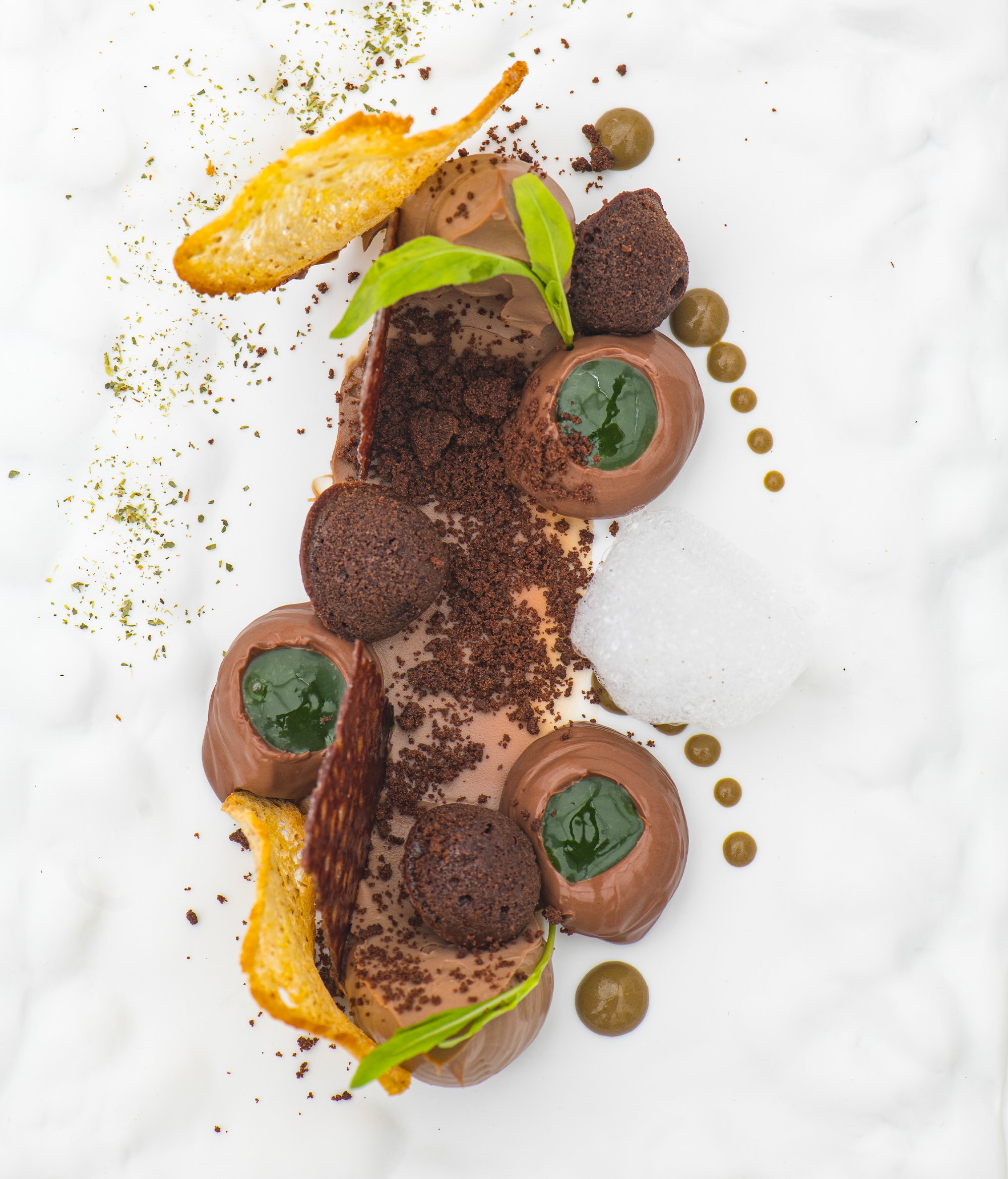 Don Alfonso 1890 - Plat Principal