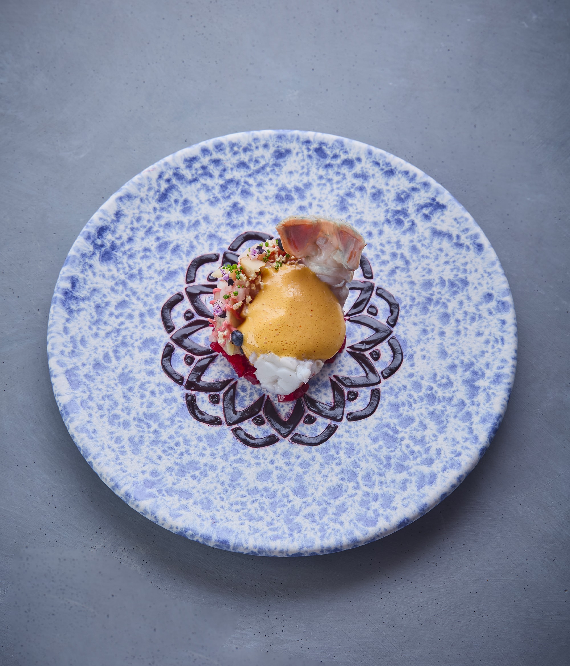 Ikarus - Plat Principal