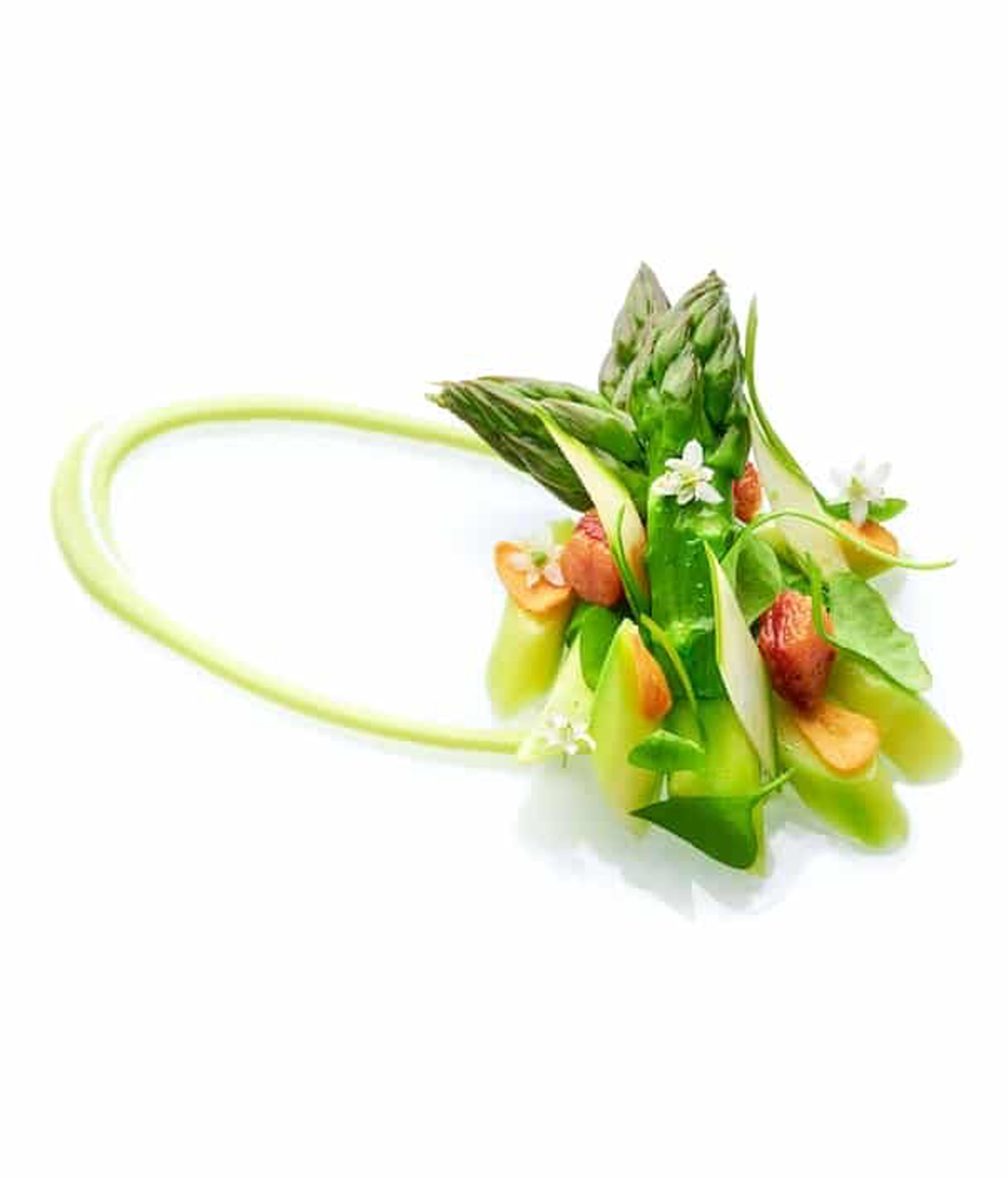 Jaan - Plat Principal