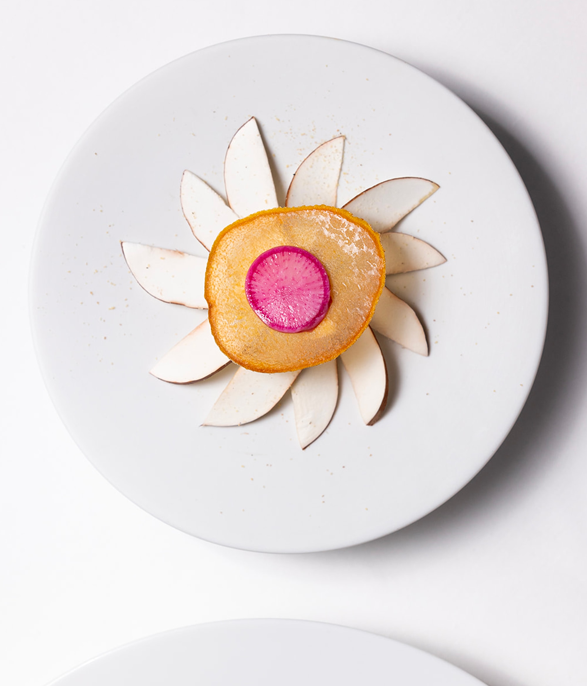 Pierre Gagnaire - Plat Principal