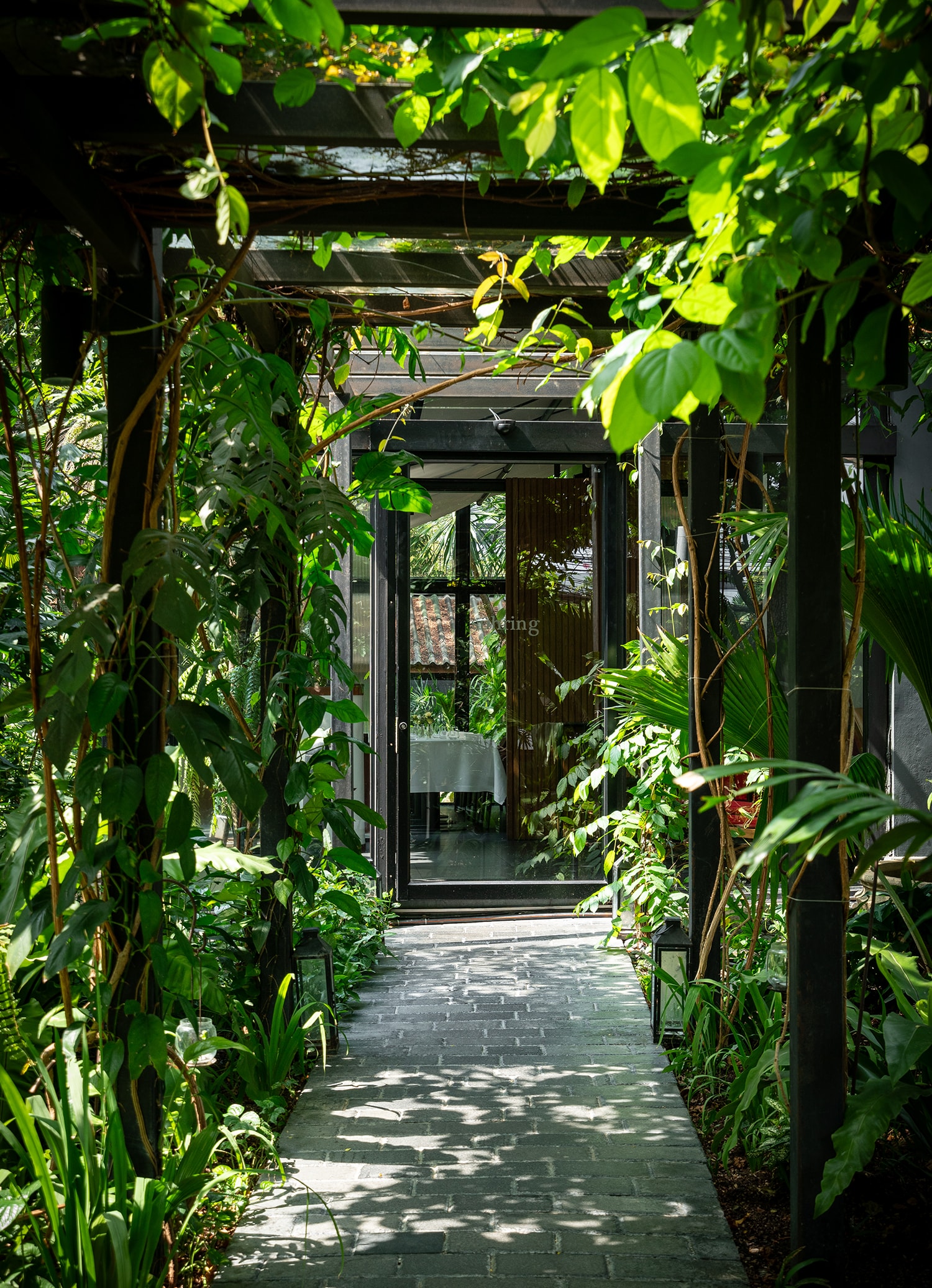 Sühring - Restaurant Interior