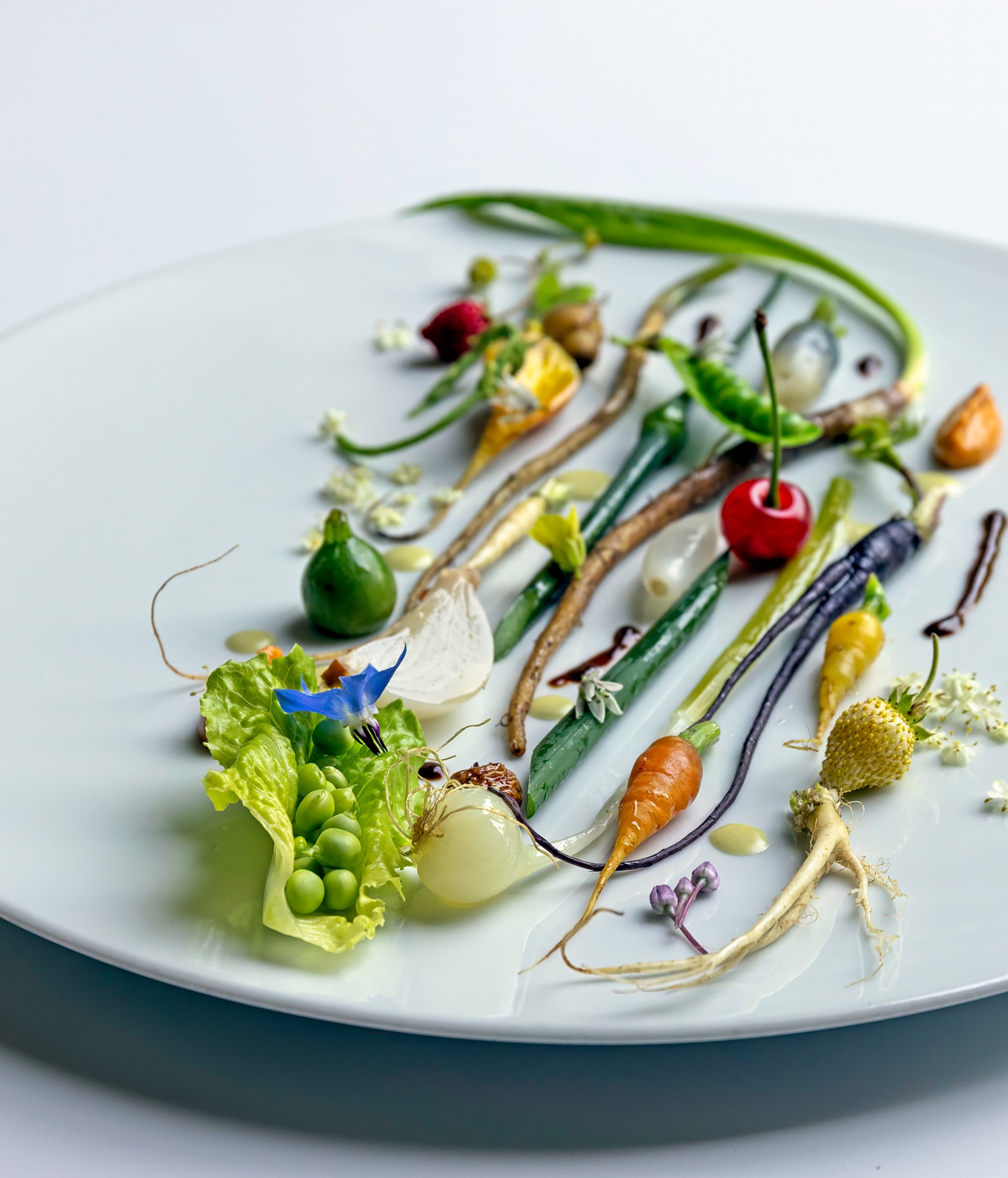 Villa Feltrinelli - Main Course