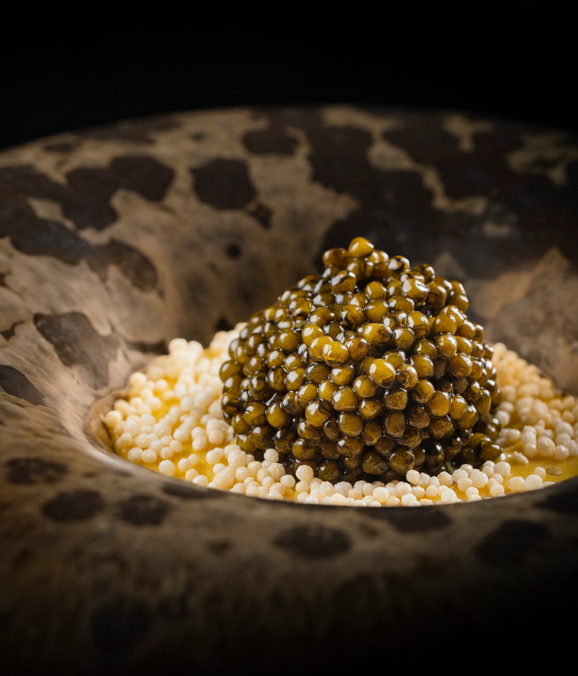 Addison - Plat Principal