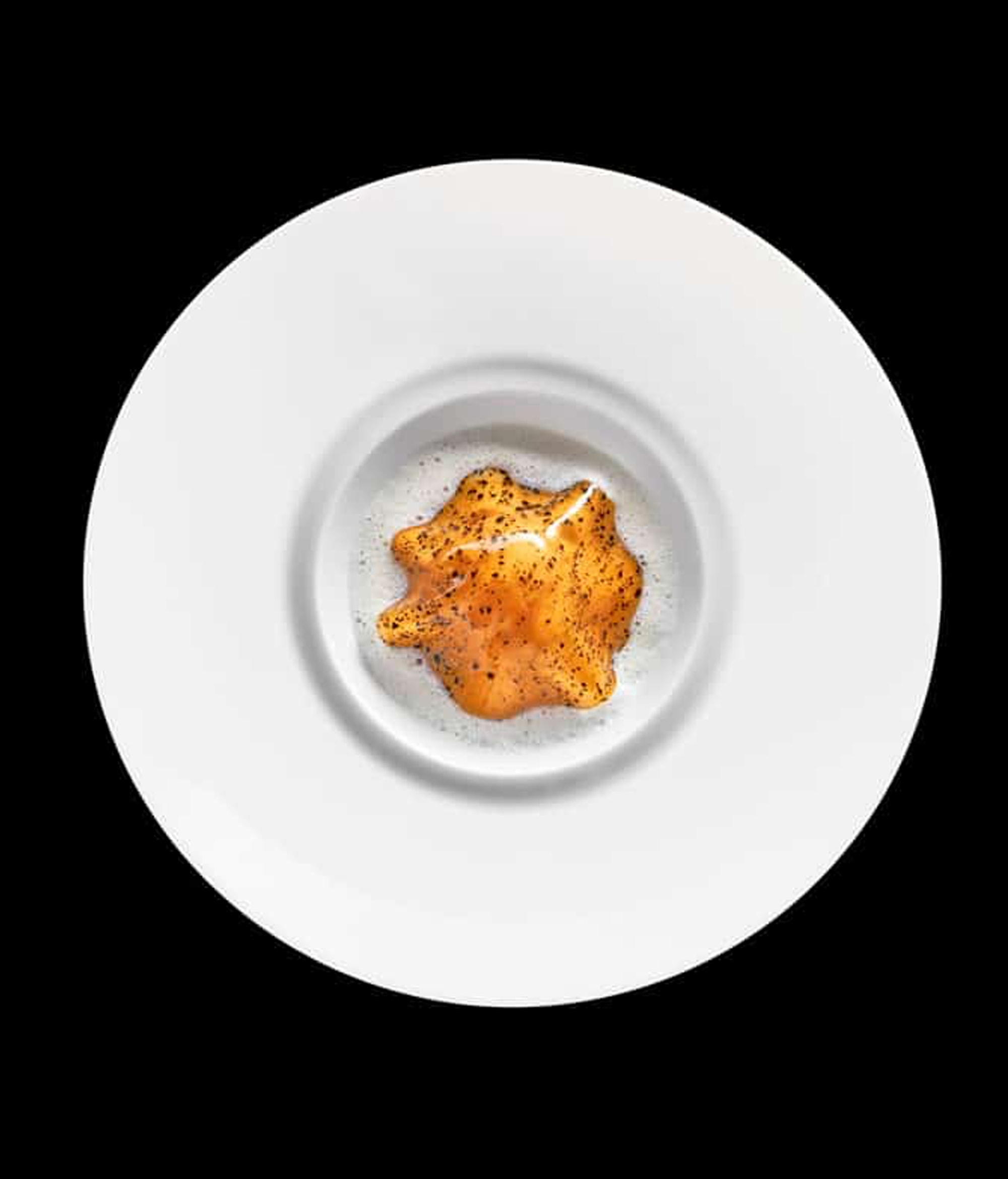 Le Jules Verne - Main Course