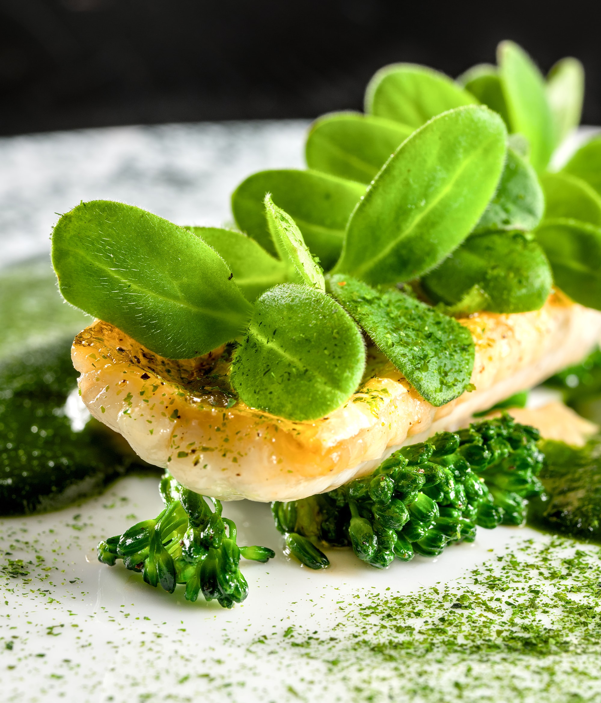 Menssa - Plat Principal